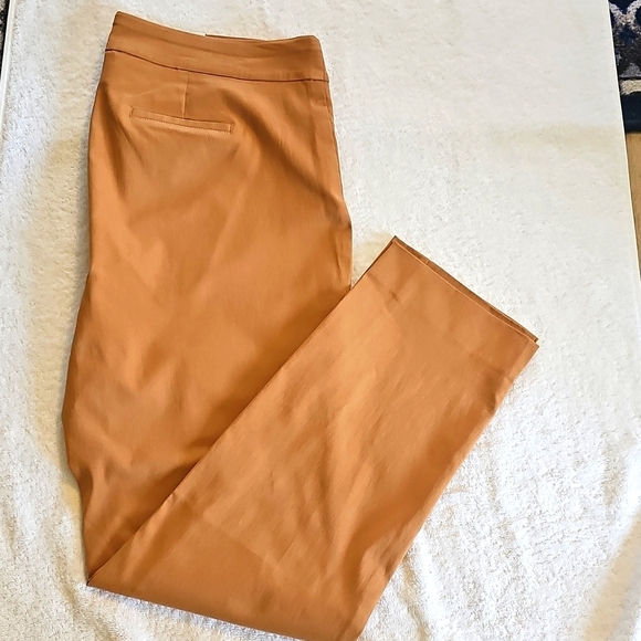 NEW JM Collection Plus Size Pull On Cambridge Pants Canyon Trail 1X - Picture 1 of 15